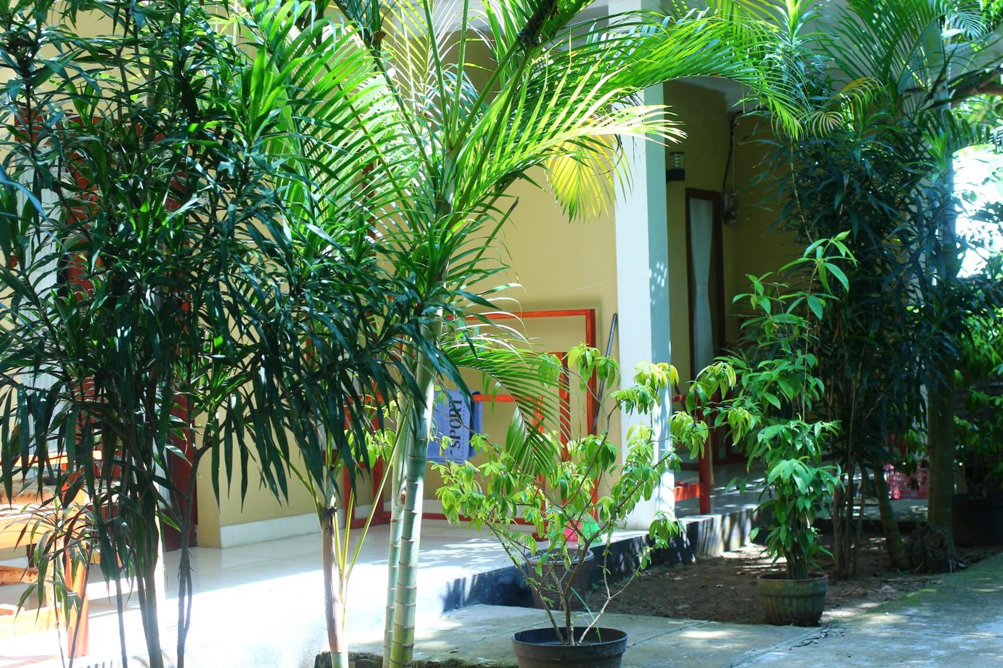 Three V Homestay Kuta  Extérieur photo