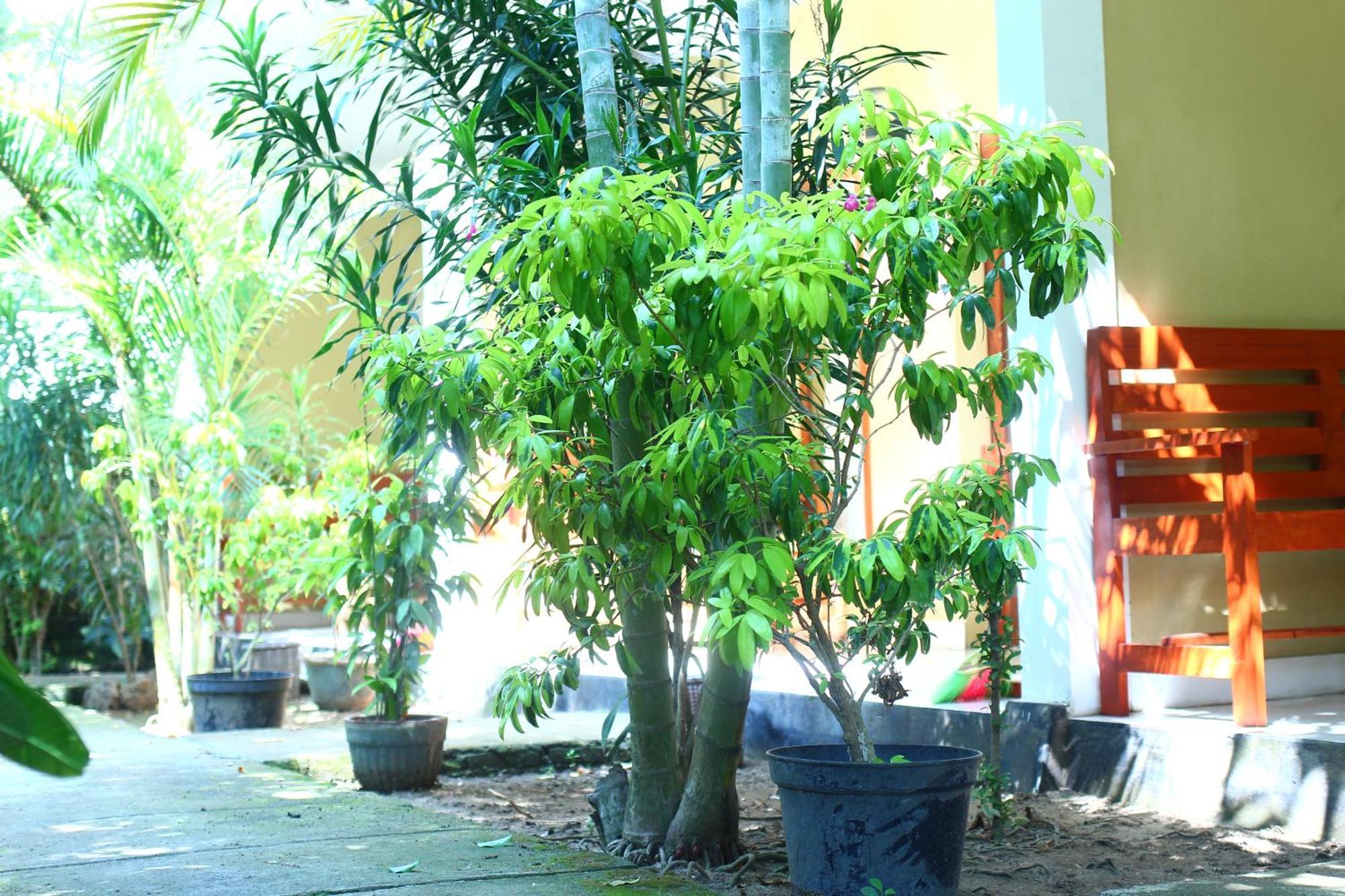 Three V Homestay Kuta  Extérieur photo