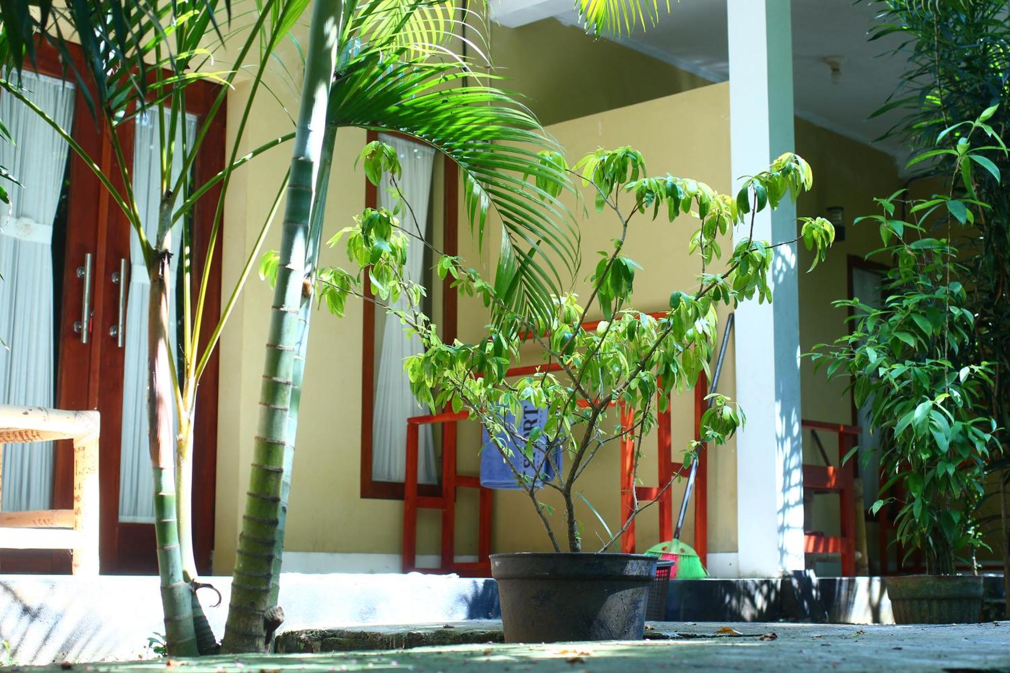 Three V Homestay Kuta  Extérieur photo